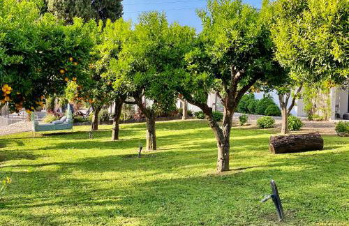 Quinta da Salada - Turismo Rural - Foto 57