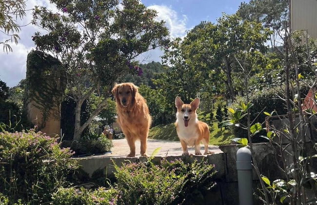 Scent House - Village - Foto 35