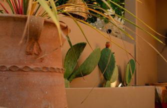 Villa Kalimoukos - Foto 16