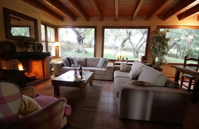 Agroturismo Es Molí de Son Maiol - Foto 21