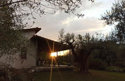 Nafpaktos cottage by the sea for travelers and dreamers! - Foto 67