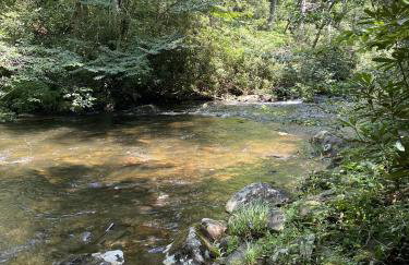 Bear's Mountaintop Home with Gorgeous Lake Views chalet - Foto 41