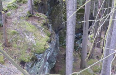 Natur pur im Erzgebirge - Foto 28