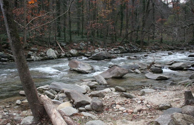 The Esmeralda Inn at Lake Lure - Foto 80