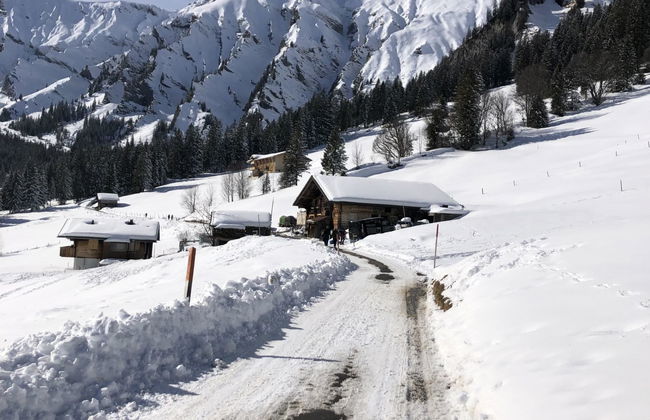 Sunnegruess - Foto 28