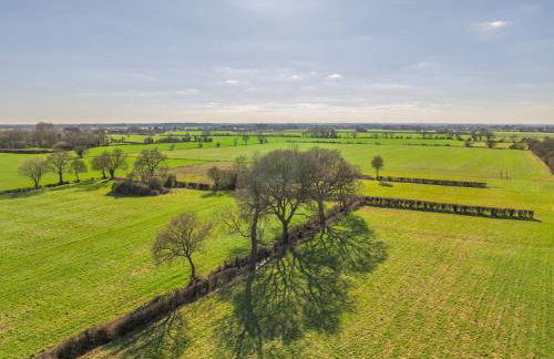 Alberts Dairy - Foto 20