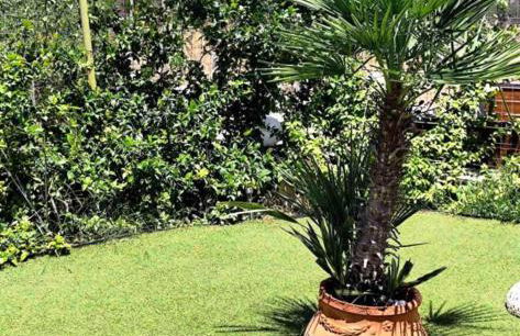 Elva villa - Photo 63