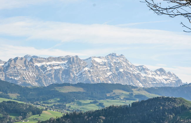 Panoramablick - Foto 17
