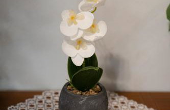 Katherine Home - Foto 7