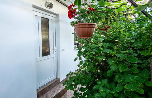 Apartments Lea Poreč - Foto 3