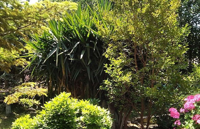 Villa Serenity House of an Elegant Immaculate Luxury Authentic Relaxing Space - Foto 64