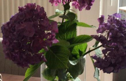 Ferienwohnung M1 - Foto 29