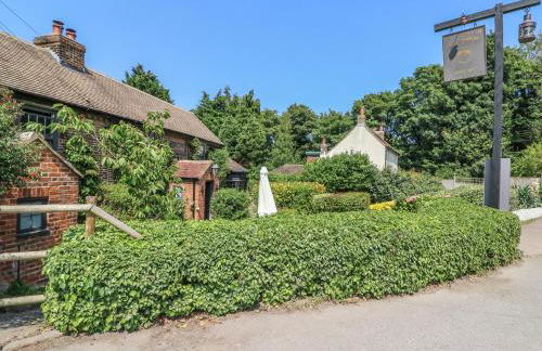 Little Yaffle - Foto 27