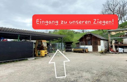 Ferienwohnung/Monteurzimmer auf dem Bauernhof - Foto 22