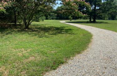 Fabulous Beach House on Elliott Island -beautiful sandy beach, tranquil 6 acres - Foto 39