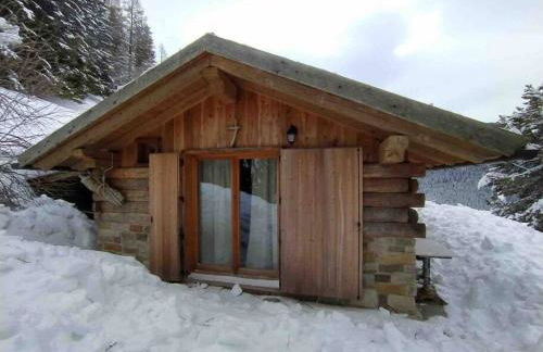 LA VOCE DEL BOSCO Selva di Cadore - Foto 24