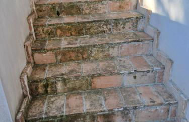 Agriturismo Fattoria colle Luca - Foto 57