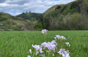 Happy Place Ferienwohnung mit Moselpanoramablick, Dachterrasse und Sauna - Foto 32