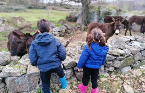 La Casa de Abajo - Photo 30