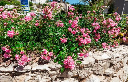 Apartmani Gelo - Foto 65