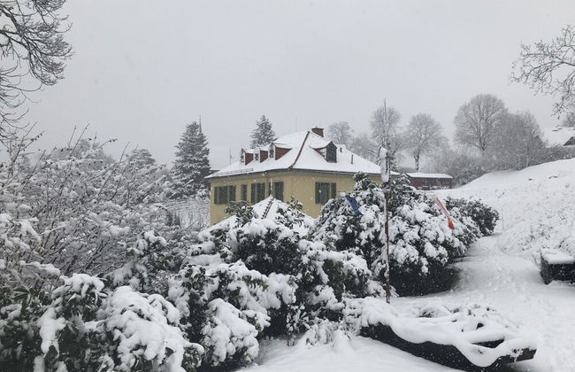 Rebenhaus Meißen - Foto 42