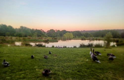 Charming tranquil Shepherds Hut with lakeside balcony 'Roach' - Foto 20
