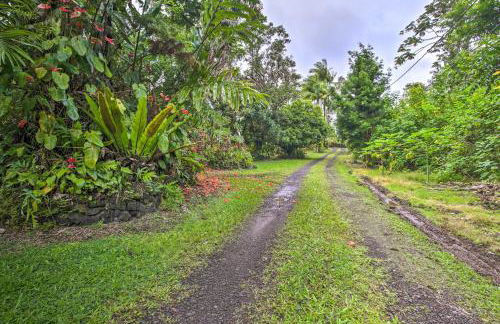 Idyllic Pahoa Paradise Hike, Swim and Explore! - Photo 25