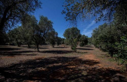Casa Rizzini - Foto 32