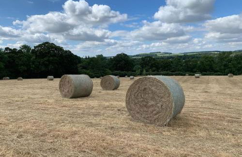 The Old Stables - Photo 13