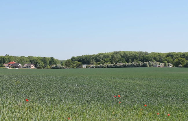 Cozy Apartment in Boltenhagen Germany Near the Beach - Foto 48