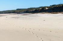 BeachLiving Cortegaça - Foto 61