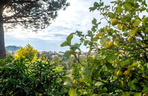070 - Villa OLANDA con veranda VISTA MARE a 5 minuti SPIAGGIA con PISCINA CONDOMINIALE - Foto 13