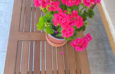 Araucaria studio Manis - Foto 19