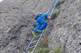 FeWo Bergzeit-Nagelfluh direkt am Naturpark - Foto 32