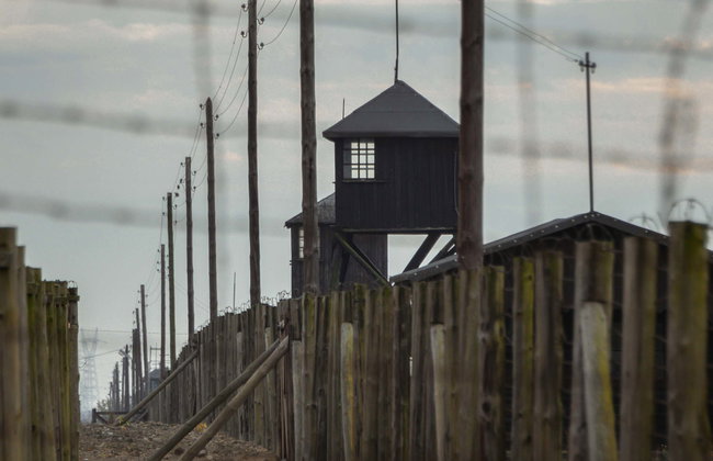 Majdanek Concentration Camp & Lublin Private Tour - Photo 1