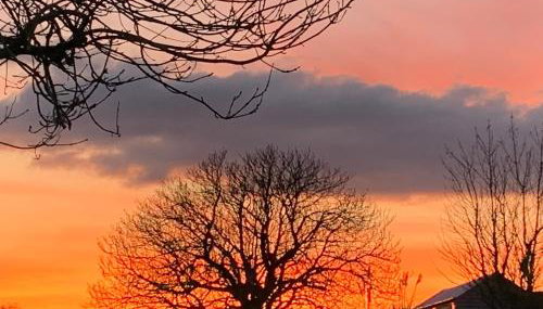 The Cabin at Barnstormers, luxury woodland setting - Foto 2