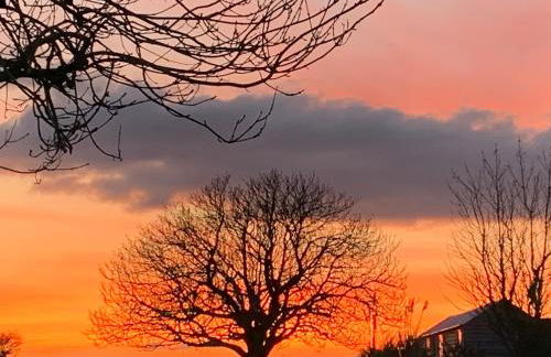 The Cabin at Barnstormers, luxury woodland setting - Foto 2