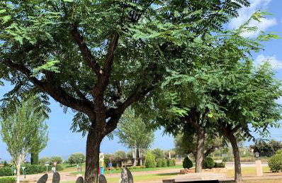 Apartamento Golf PANORAMICA - Foto 23