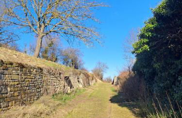 Rheinhessen-Loft - Foto 32