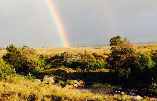 Garden Oasis at Banana Hale Studio - Foto 12