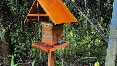 Chácara das Araras - Foto 3, Garden