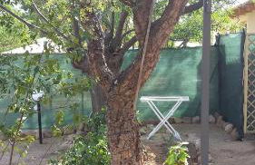 Serenissima - Foto 10