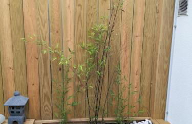 The Violet House - Foto 20