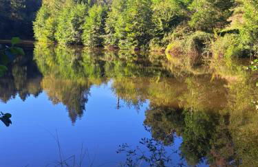 Lavallade 12 Holiday Home - Foto 18