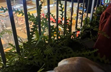 La casetta al mare - Foto 64