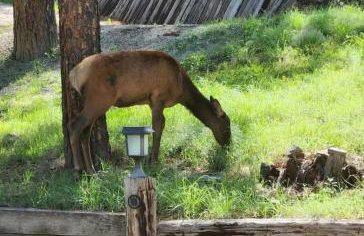 Chic Country Home in the Woods with Hot Tub - Foto 35
