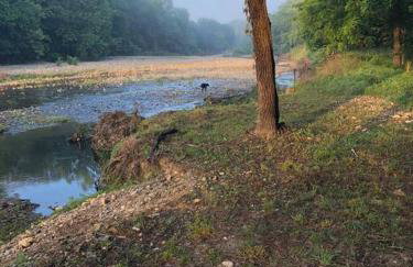 Caddo Cabin on Collier Creek - Foto 7