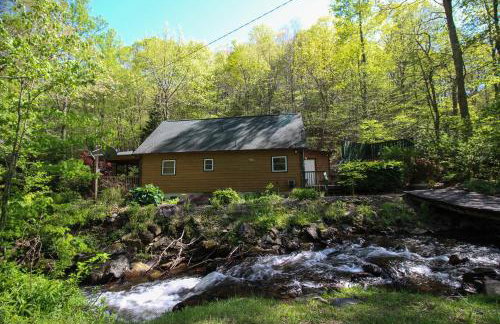 Roaring Creek - Photo 30