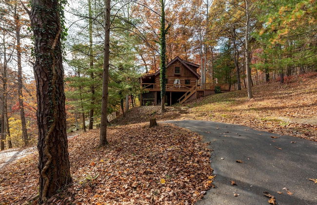 Cabin in the Trees, Hot Tub, Fire Pit - Foto 13