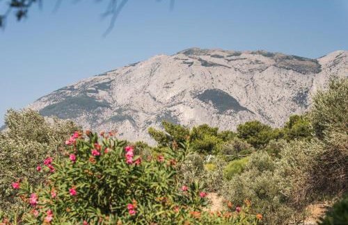 Vigla-Βίγλα 1 2 - Photo 15